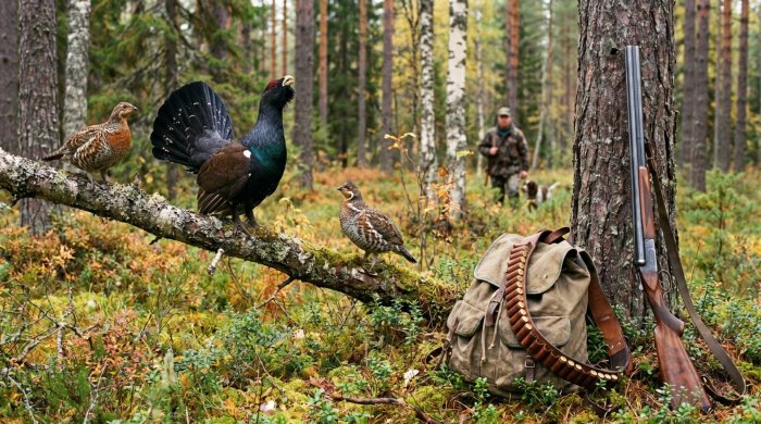 Wild game - Country Club «Tumanovo»